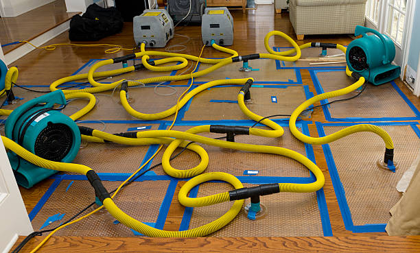 Professional Crawl Space Water Removal technician working in Dola, OH